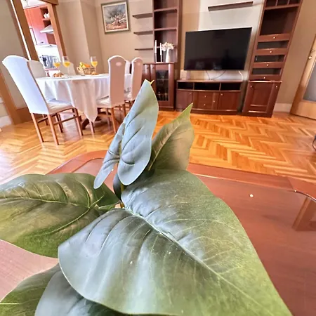 Apartment Forty Two Zadar