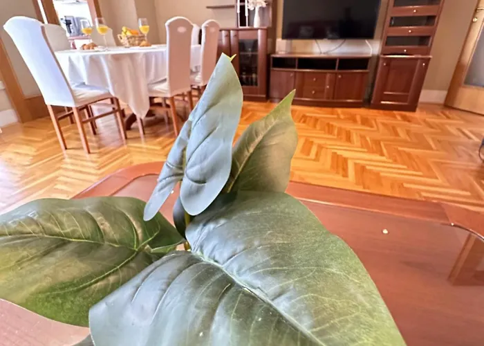 Lejlighed Forty Two Zadar